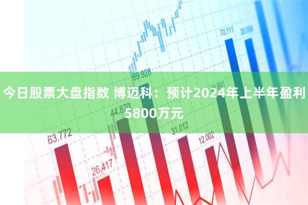 今日股票大盘指数 博迈科：预计2024年上半年盈利5800万元