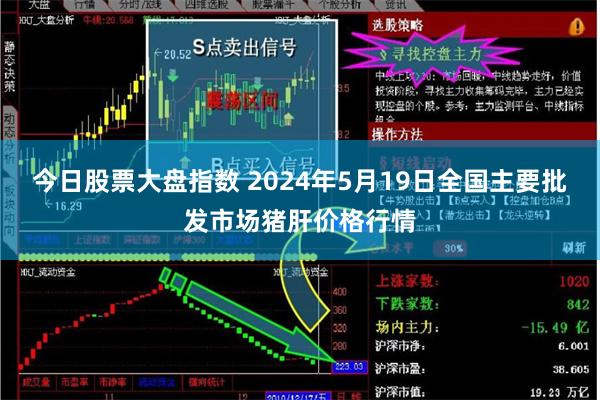 今日股票大盘指数 2024年5月19日全国主要批发市场猪肝价格行情