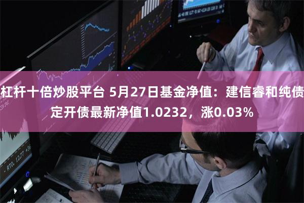 杠杆十倍炒股平台 5月27日基金净值：建信睿和纯债定开债最新净值1.0232，涨0.03%