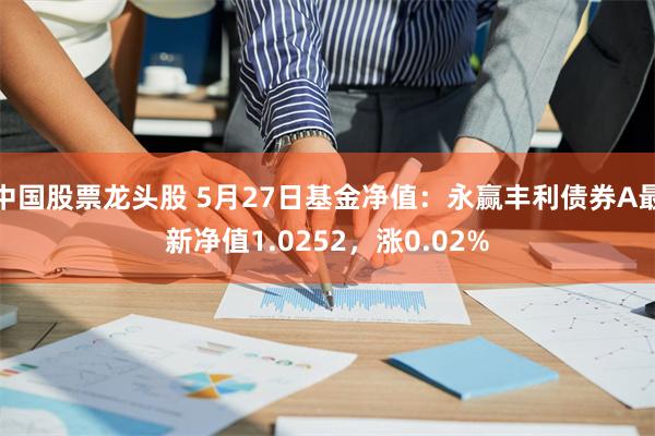 中国股票龙头股 5月27日基金净值：永赢丰利债券A最新净值1.0252，涨0.02%