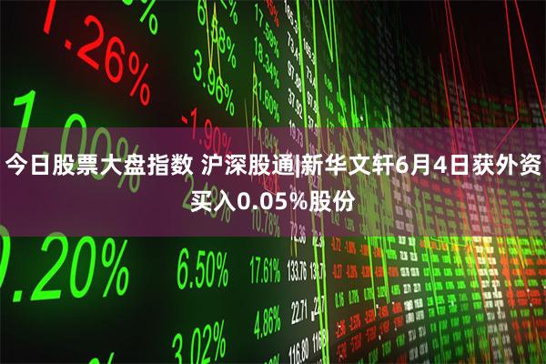 今日股票大盘指数 沪深股通|新华文轩6月4日获外资买入0.05%股份