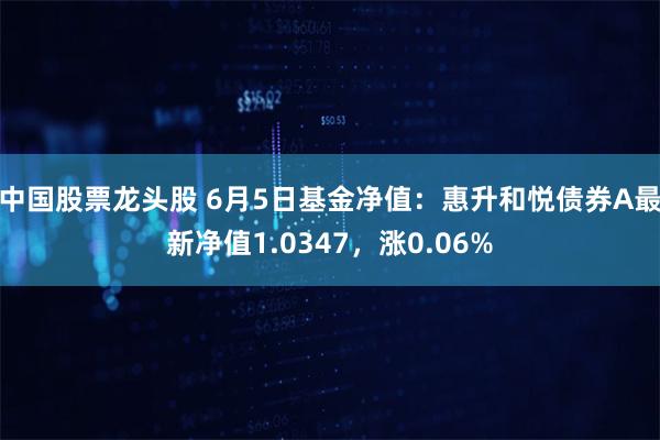 中国股票龙头股 6月5日基金净值：惠升和悦债券A最新净值1.0347，涨0.06%