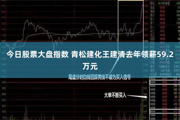 今日股票大盘指数 青松建化王建清去年领薪59.2万元