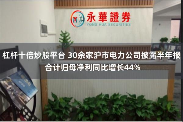 杠杆十倍炒股平台 30余家沪市电力公司披露半年报 合计归母净利同比增长44%