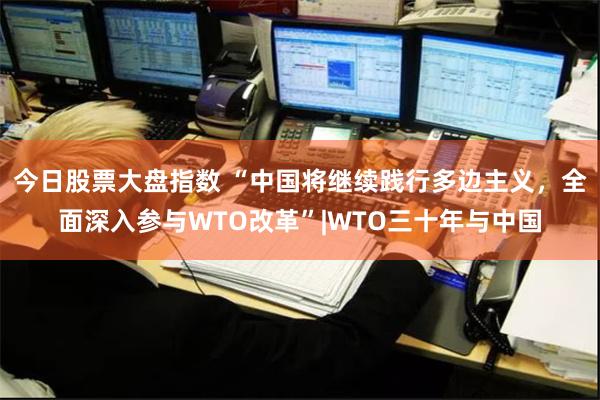 今日股票大盘指数 “中国将继续践行多边主义，全面深入参与WTO改革”|WTO三十年与中国