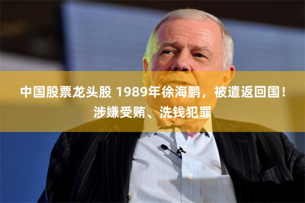 中国股票龙头股 1989年徐海鹏，被遣返回国！涉嫌受贿、洗钱犯罪