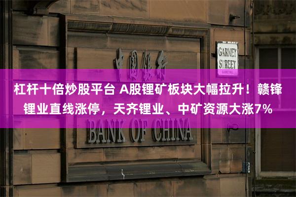 杠杆十倍炒股平台 A股锂矿板块大幅拉升！赣锋锂业直线涨停，天齐锂业、中矿资源大涨7%