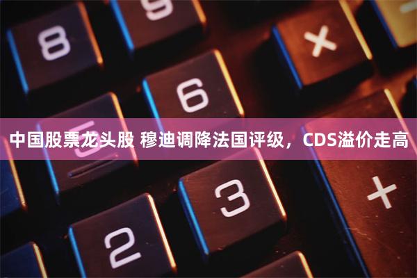 中国股票龙头股 穆迪调降法国评级，CDS溢价走高