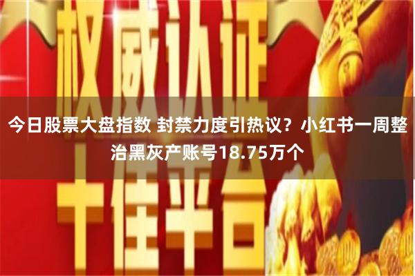 今日股票大盘指数 封禁力度引热议？小红书一周整治黑灰产账号18.75万个